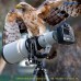 Leofoto Ranger LS-365C Carbon Fiber Tripod + PG1 Gimbal Head Leofoto Ranger LS-365C Carbon Fiber Tripod + PG1 Gimbal Head